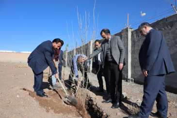 کاشت ۲۰۰۰ درخت توسط سازمان همیاری در هفته منابع طبیعی
