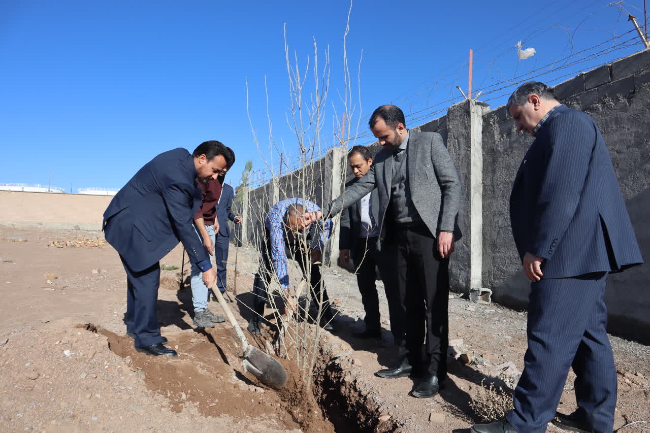 کاشت ۲۰۰۰ درخت توسط سازمان همیاری در هفته منابع طبیعی